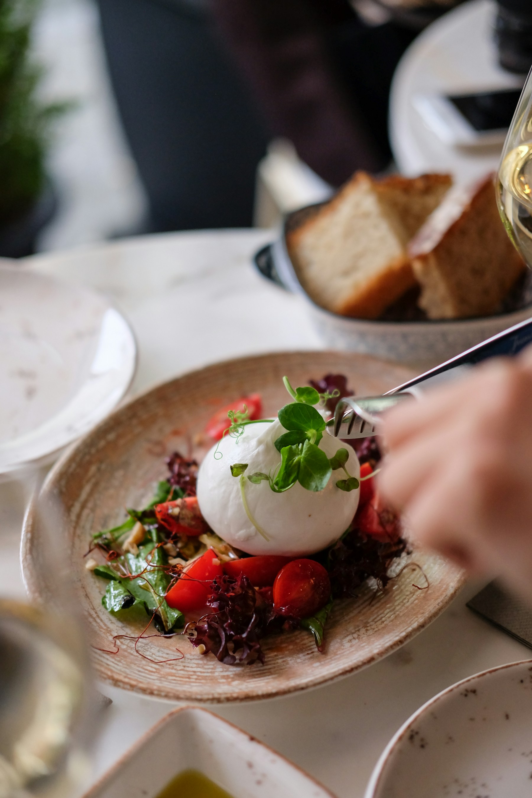 Burrata & tomates